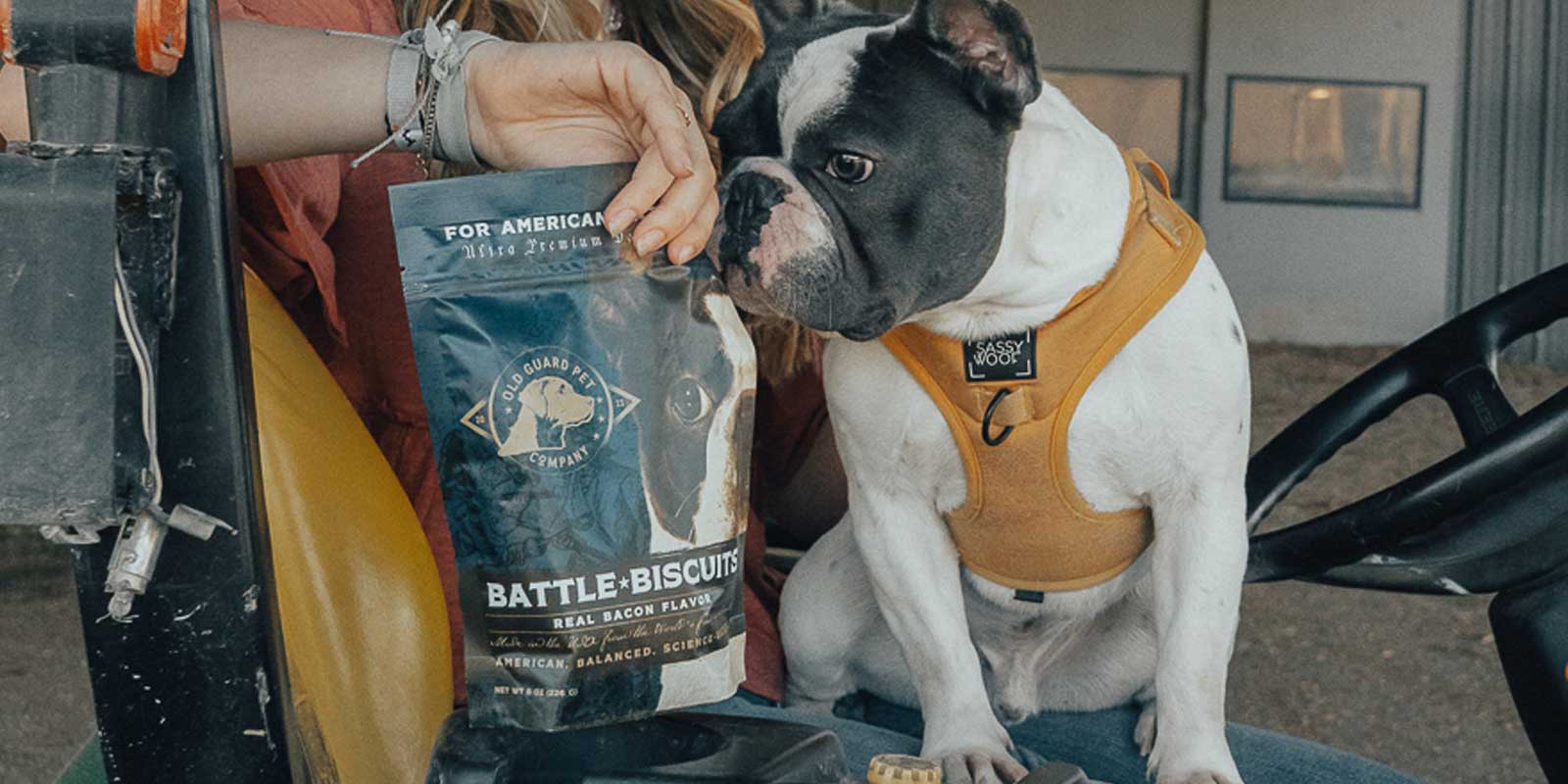 The Science Behind Irresistible Bacon Flavored Dog Treats